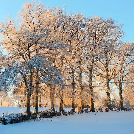 Ma Campagne Vue Sur *