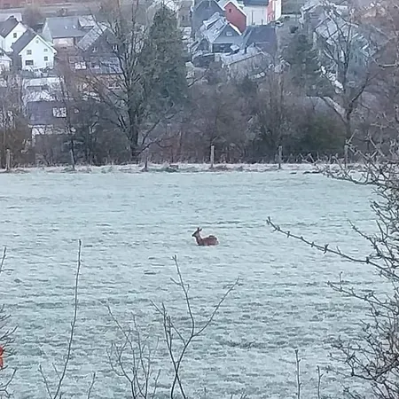 Ma Campagne Vue Sur Malmedy
