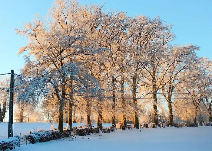 Ma Campagne Vue Sur *